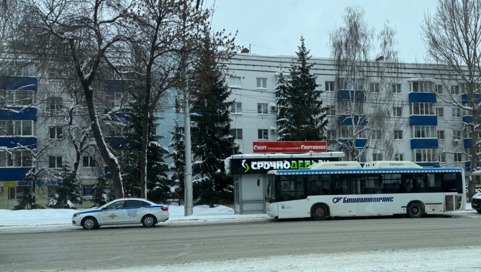 Елены Колоколовой.