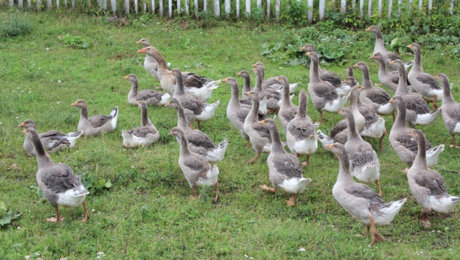 Дарьи Святохиной.