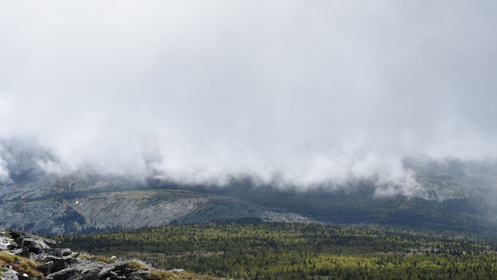 Елены Колоколовой.