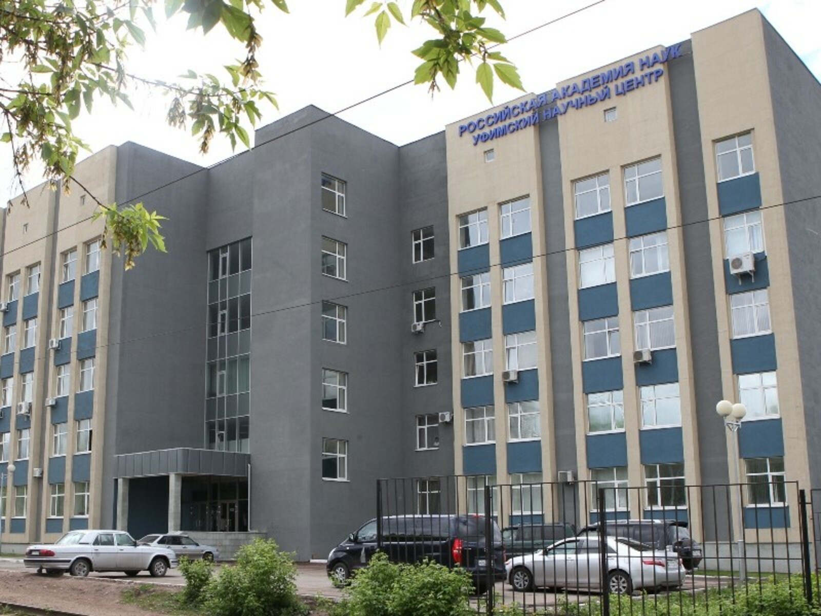 Фото Олега Яровикова.