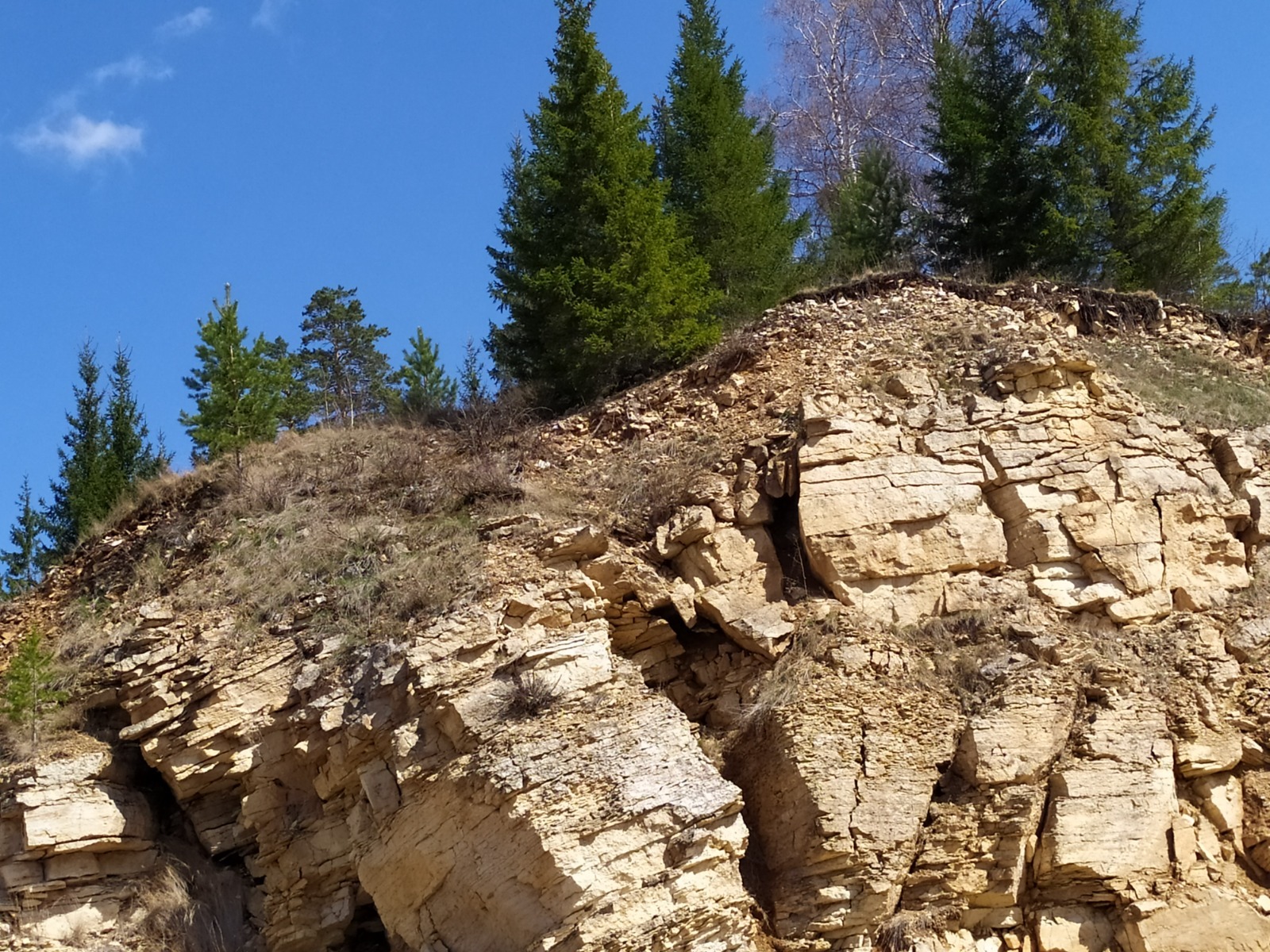 Васили Саитовой.