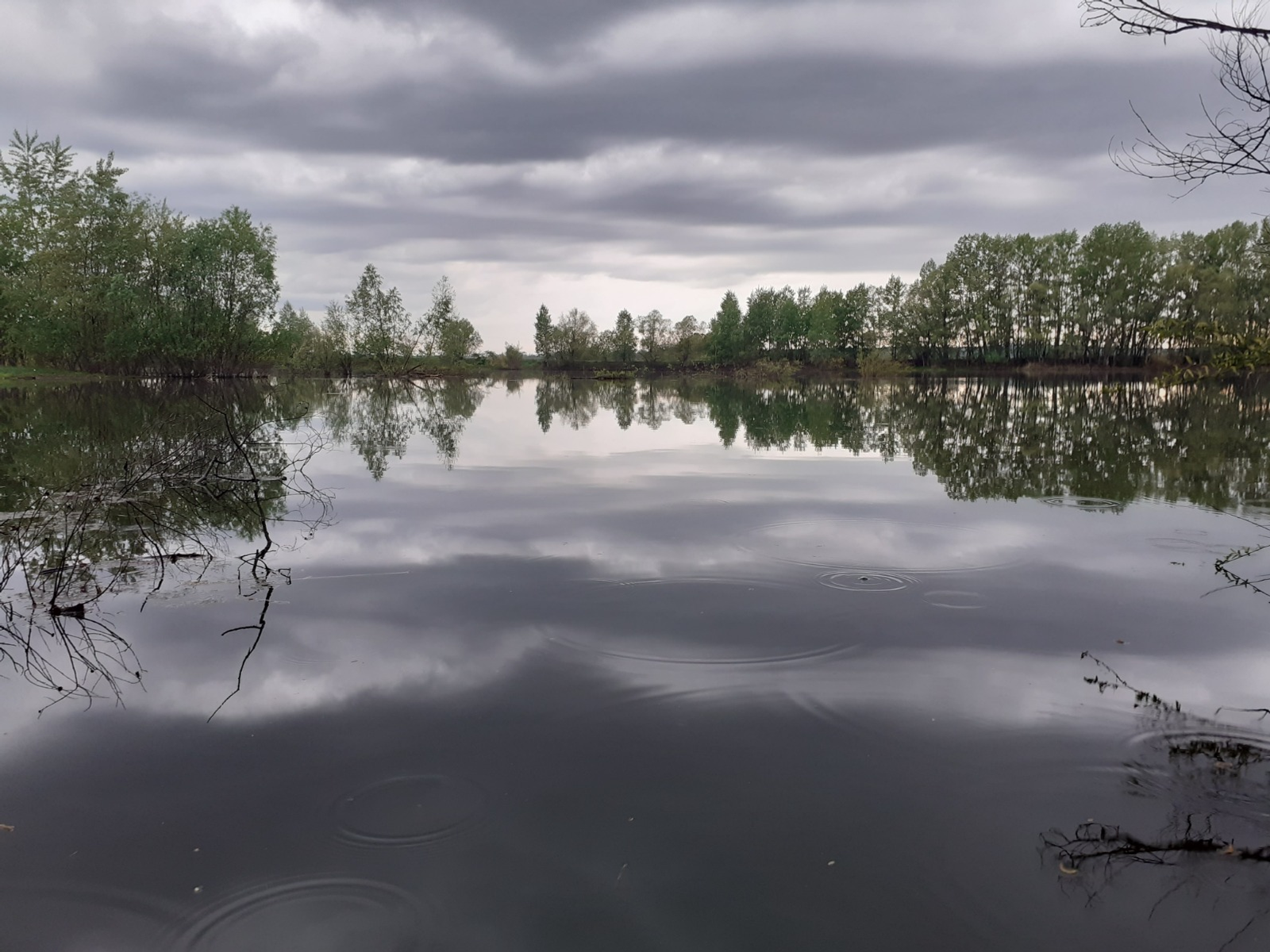 Владимира Шакиева. «Общественная электронная газета».