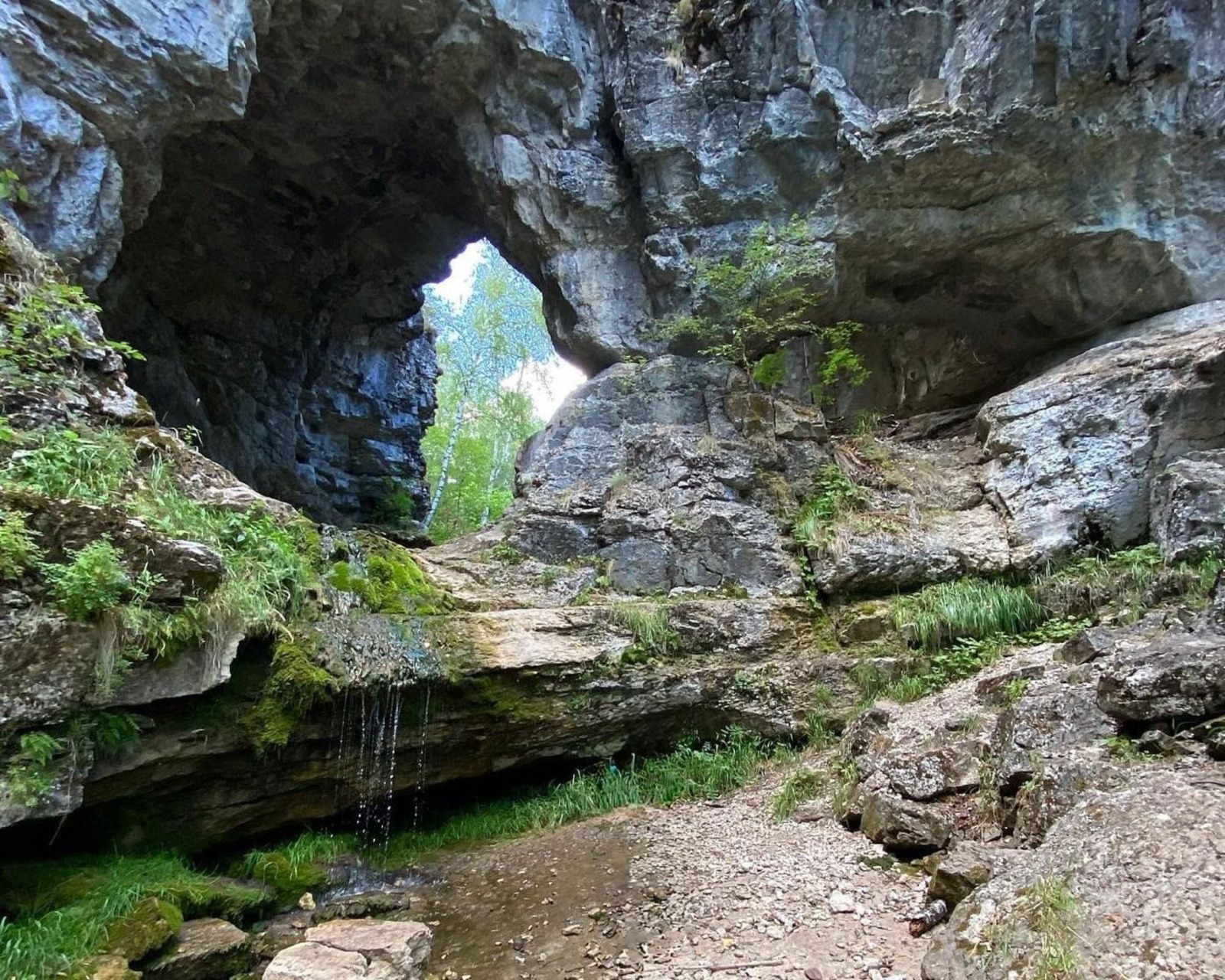 Елены Колоколовой.