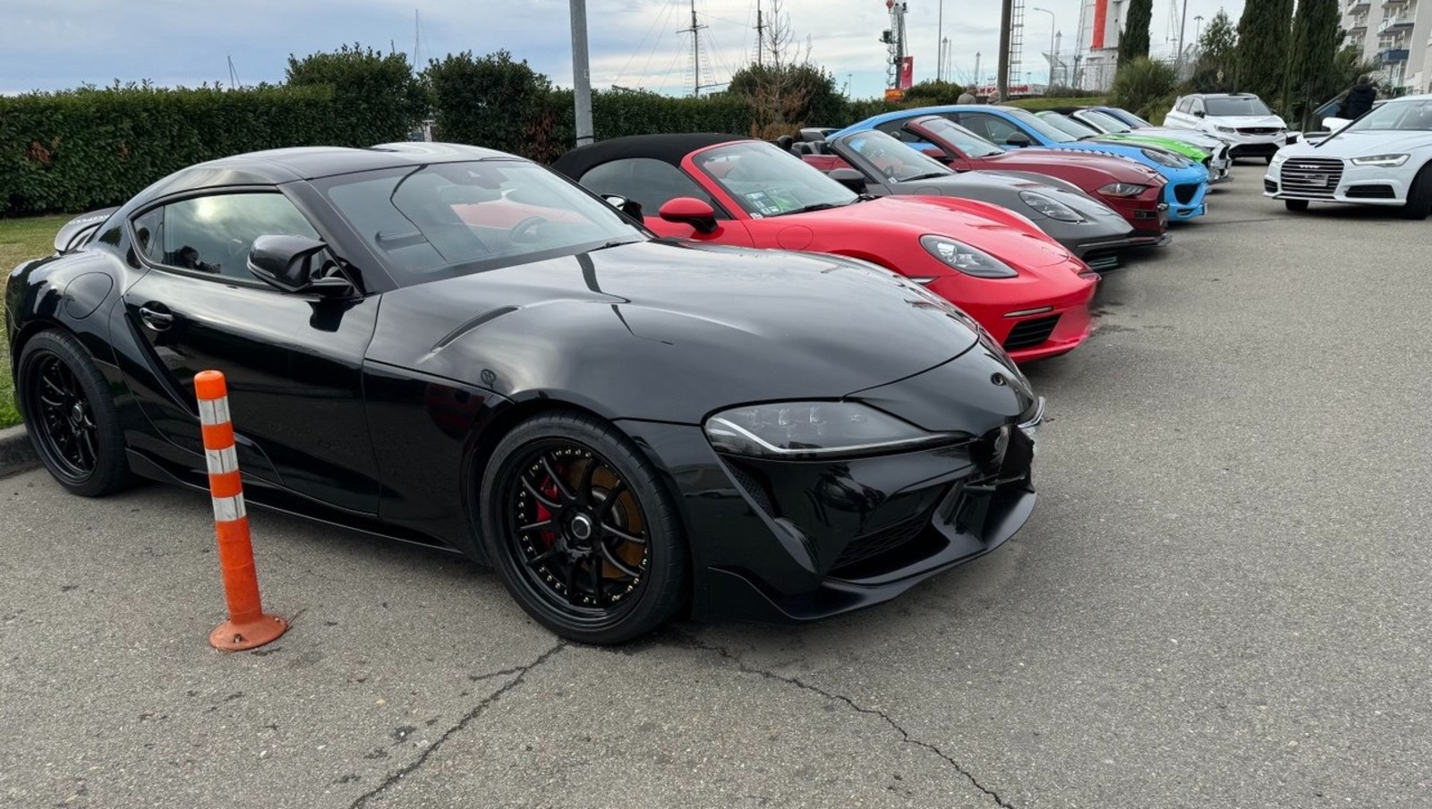 Елены Колоколовой.