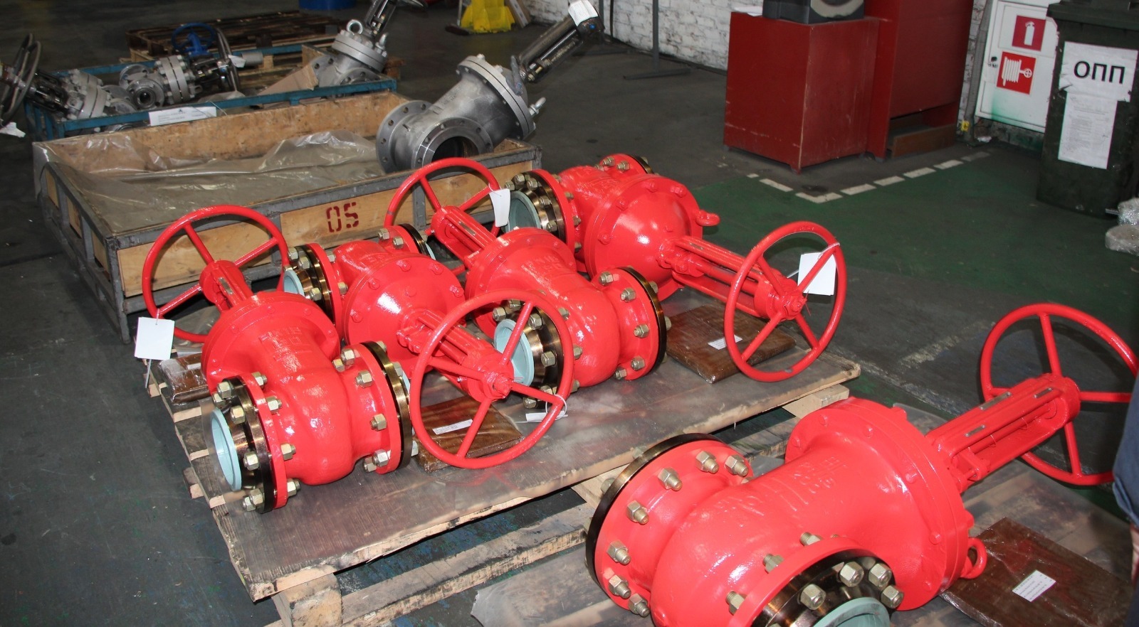 Евгении Сюткиной.