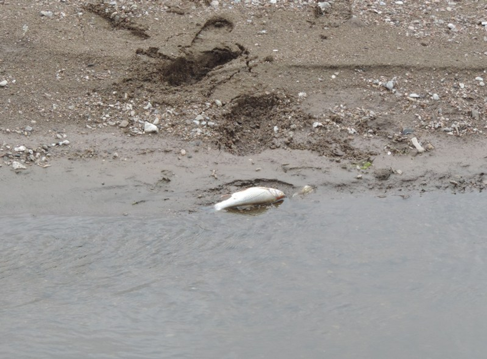 Фото предоставлено автором.