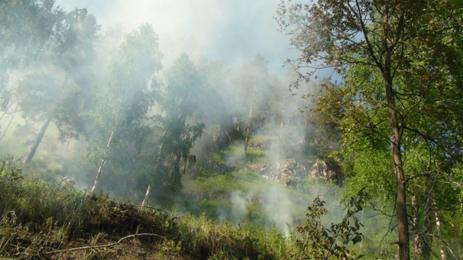 Фото автора.