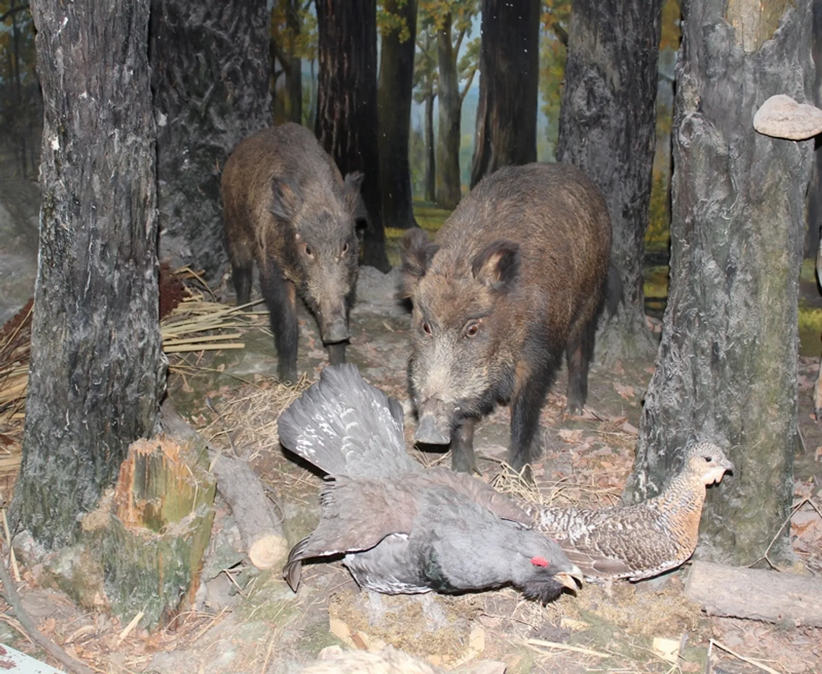 Фото автора.