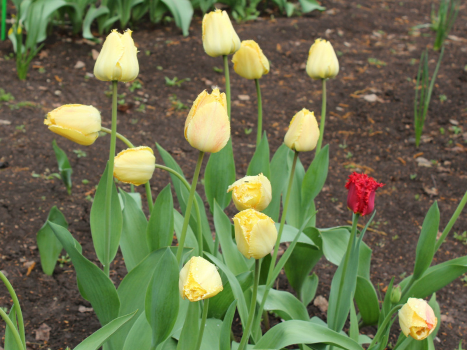 Фото автора.