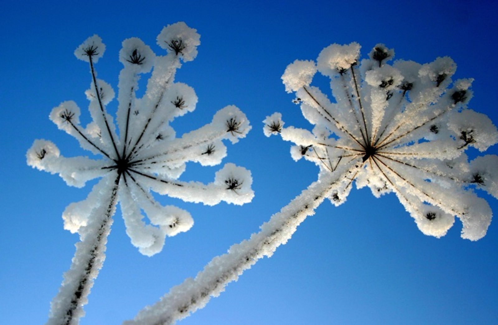 Фото Олега Яровикова.