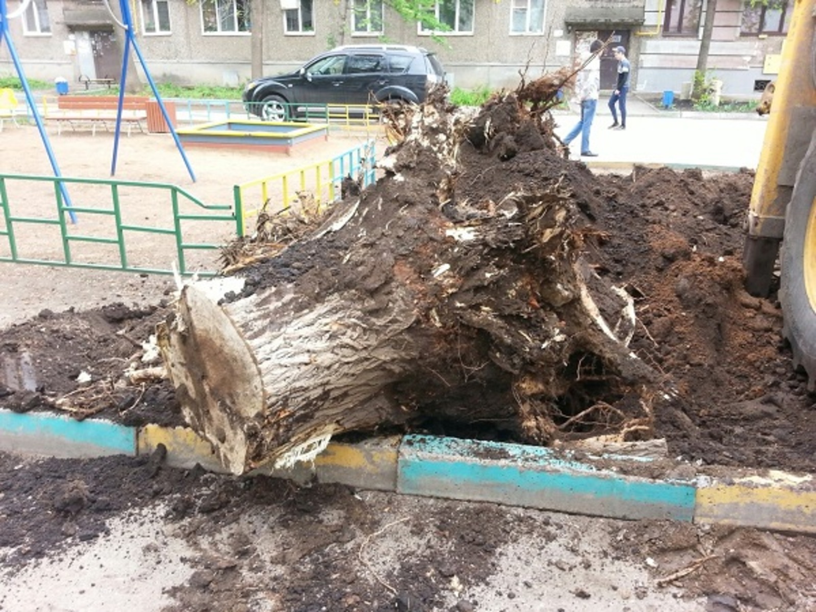 Фото Дарьи Святохиной.