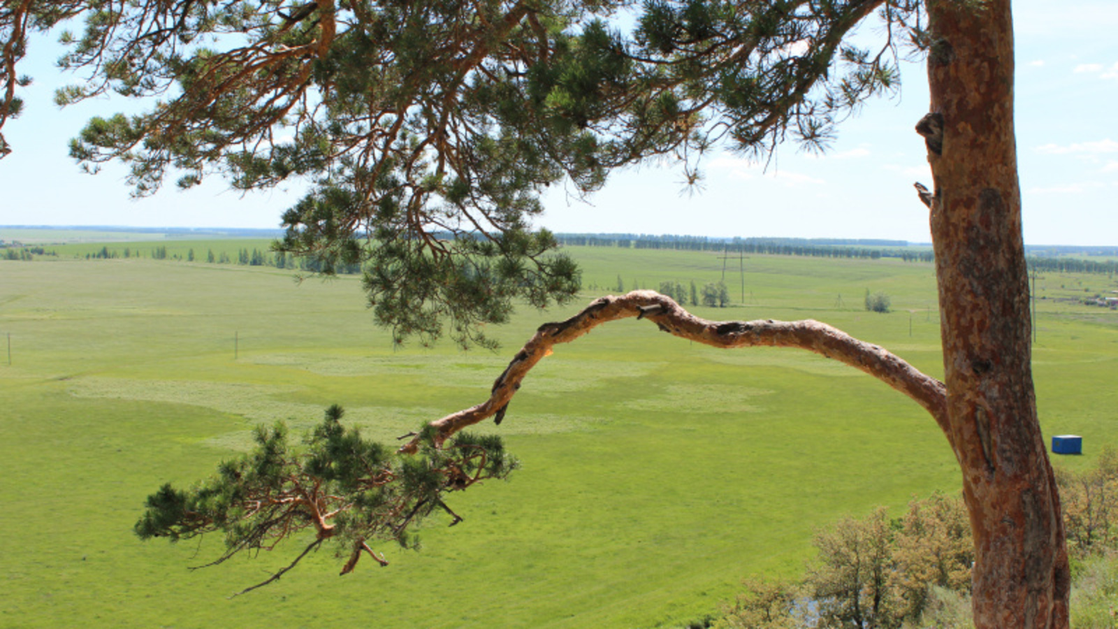 Фото автора.