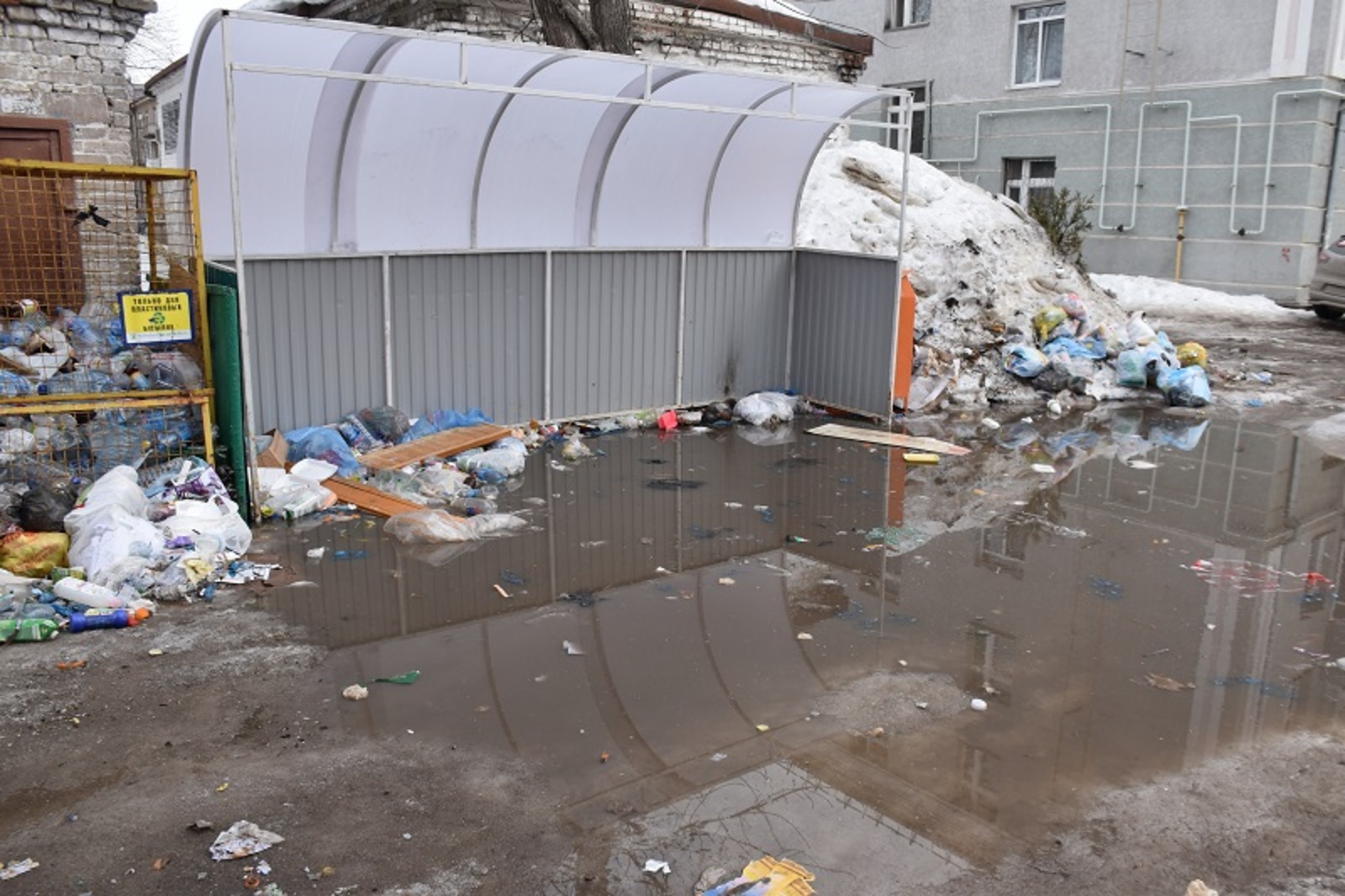 Фото автора.