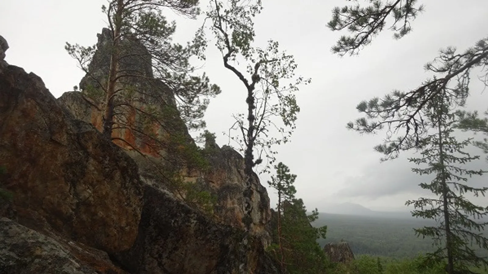 Елены Колоколовой.