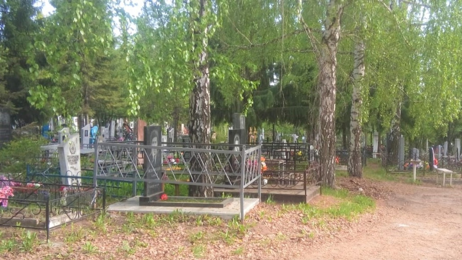 Евгении Сюткиной.