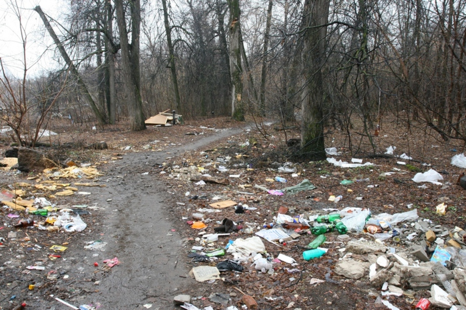 Фото Андрея Старостина.