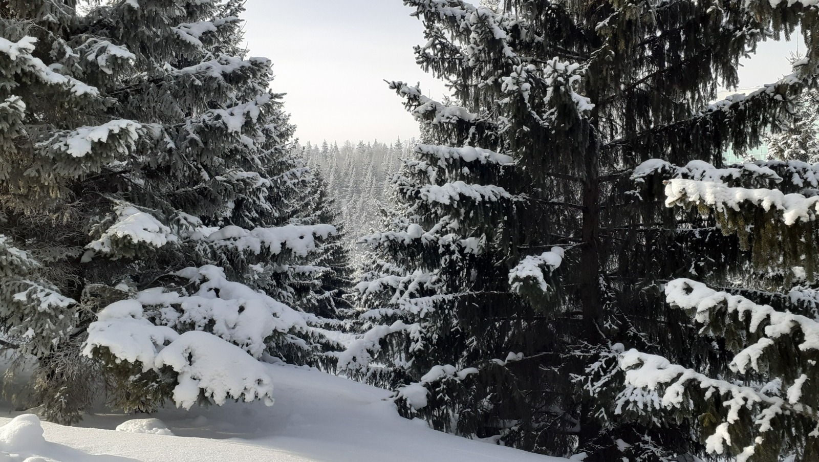 Владимира Шакиева. «Общественная электронная газета»