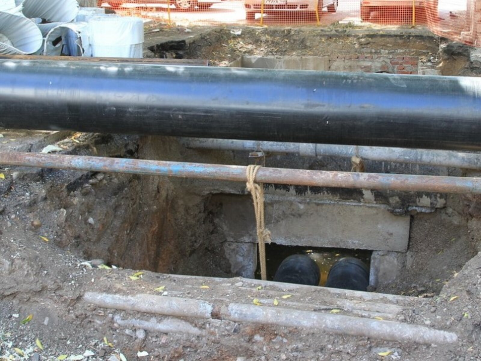 Фото Олега Яровикова.