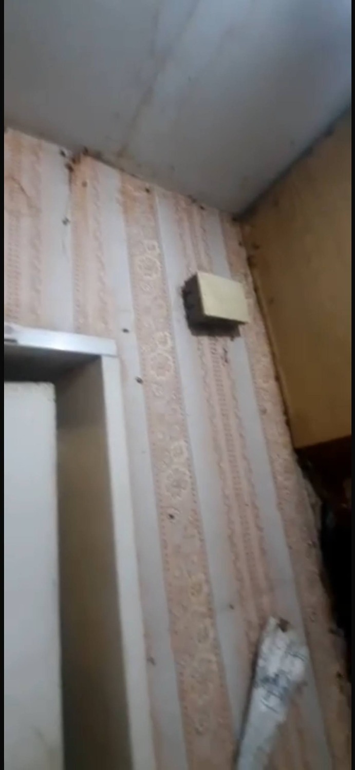 скриншот видео. предоставлено жильцами дома.