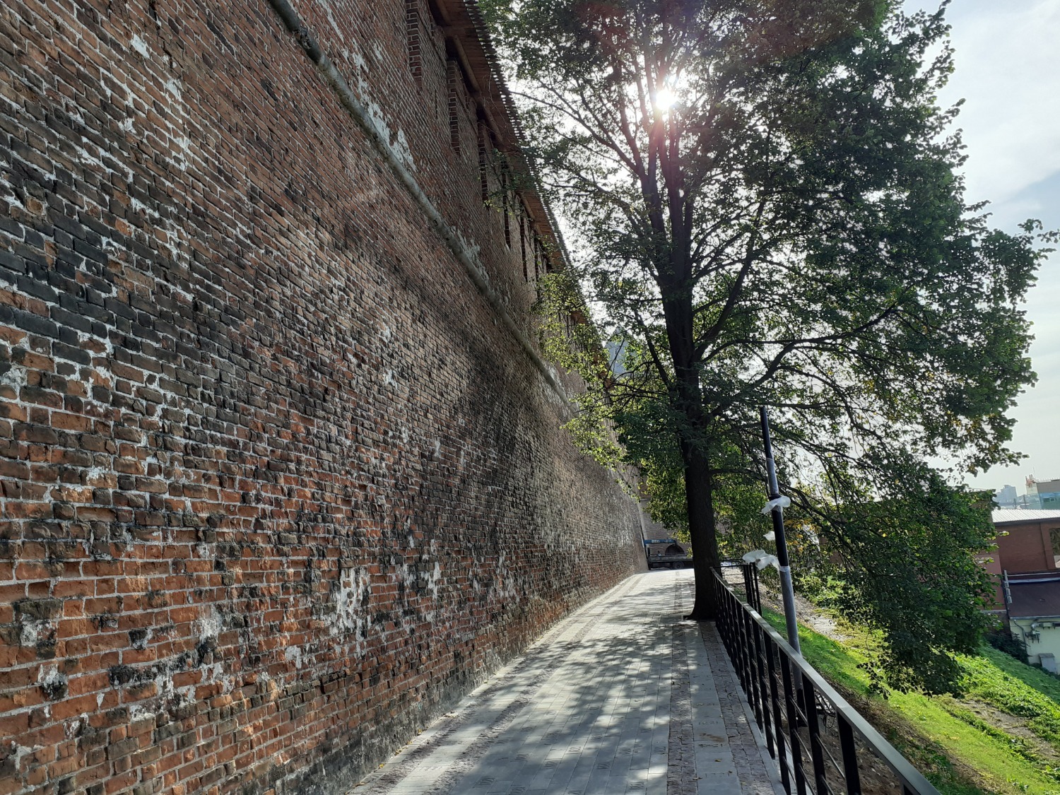 Владимира Шакиева.