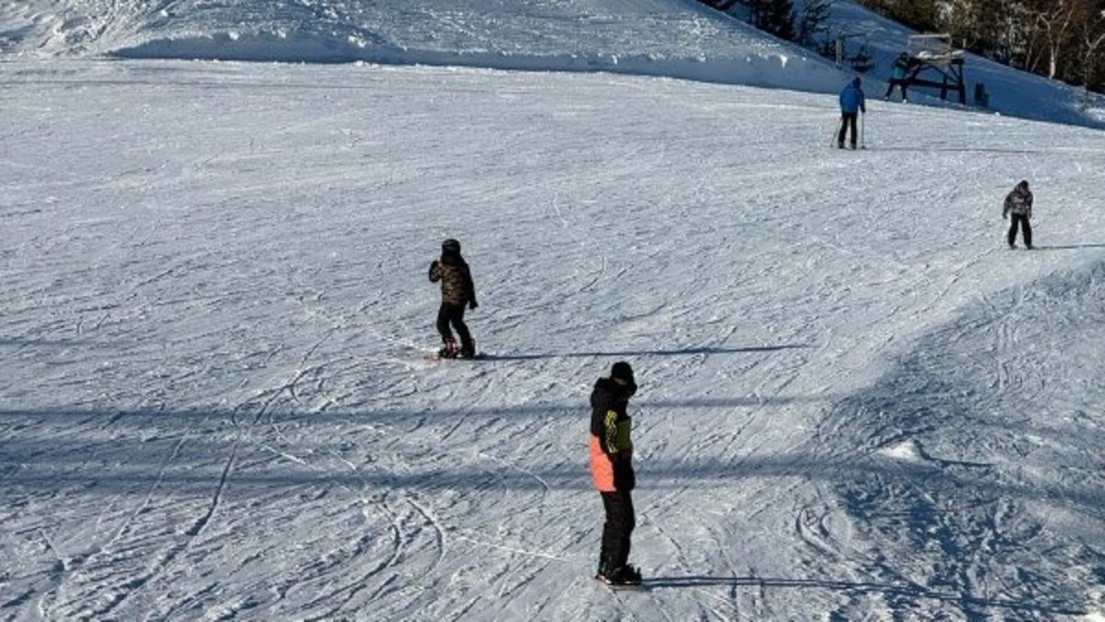 Елены Колоколовой. «Общественная электронная газета».