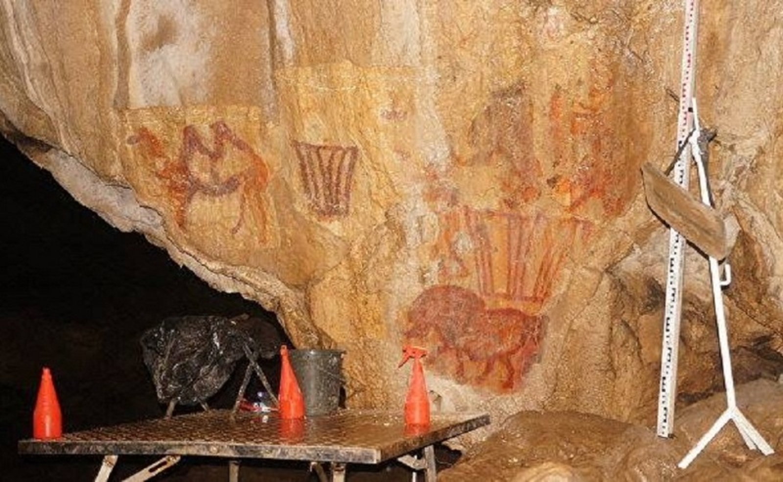 Фото предоставлено Ольгой Червяцовой.