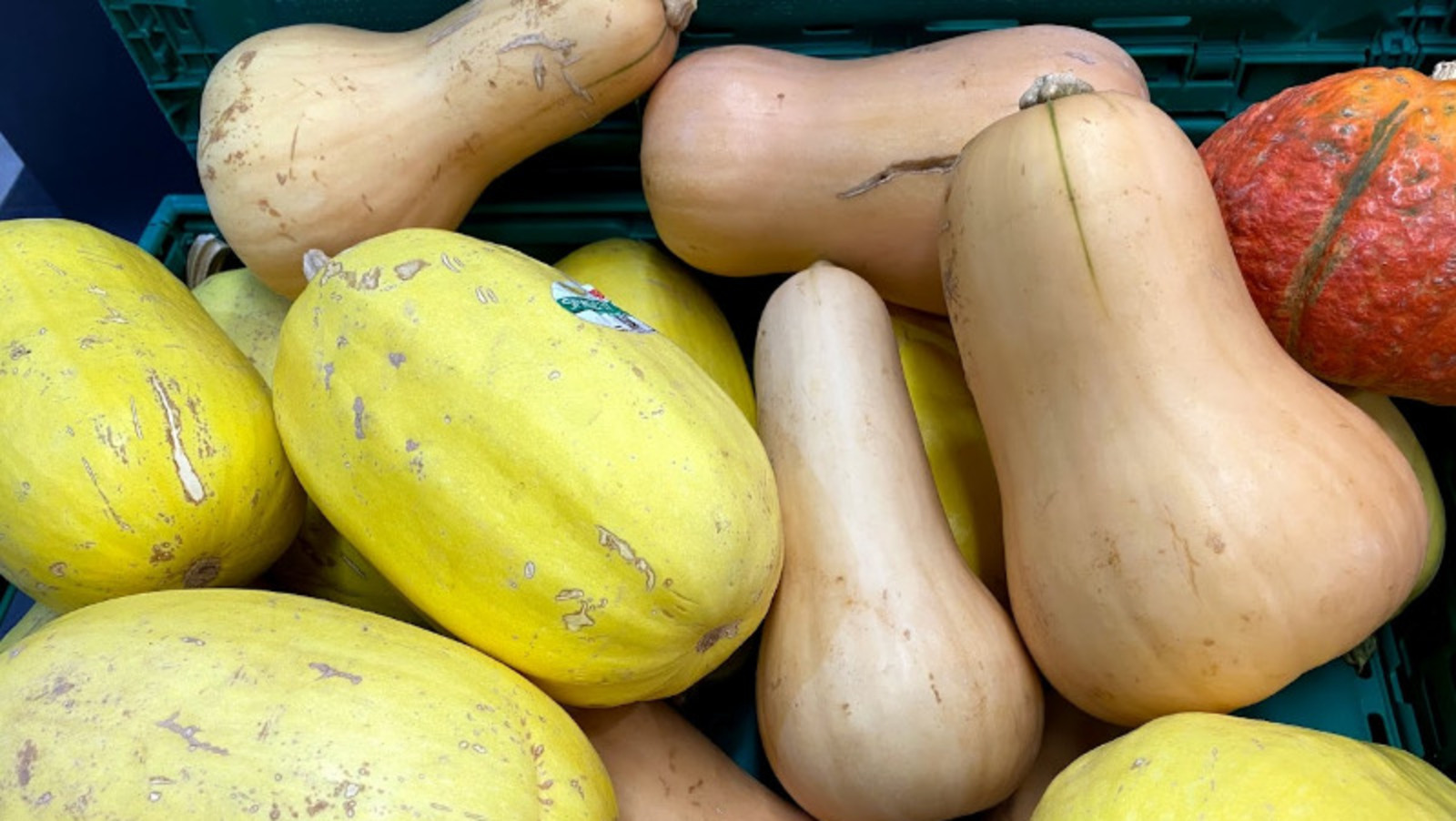 Елены Колоколовой.