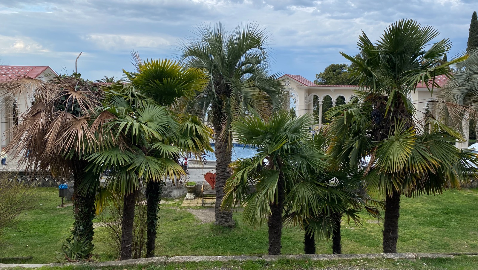 Елены Колоколовой.  «Общественная электронная газета».