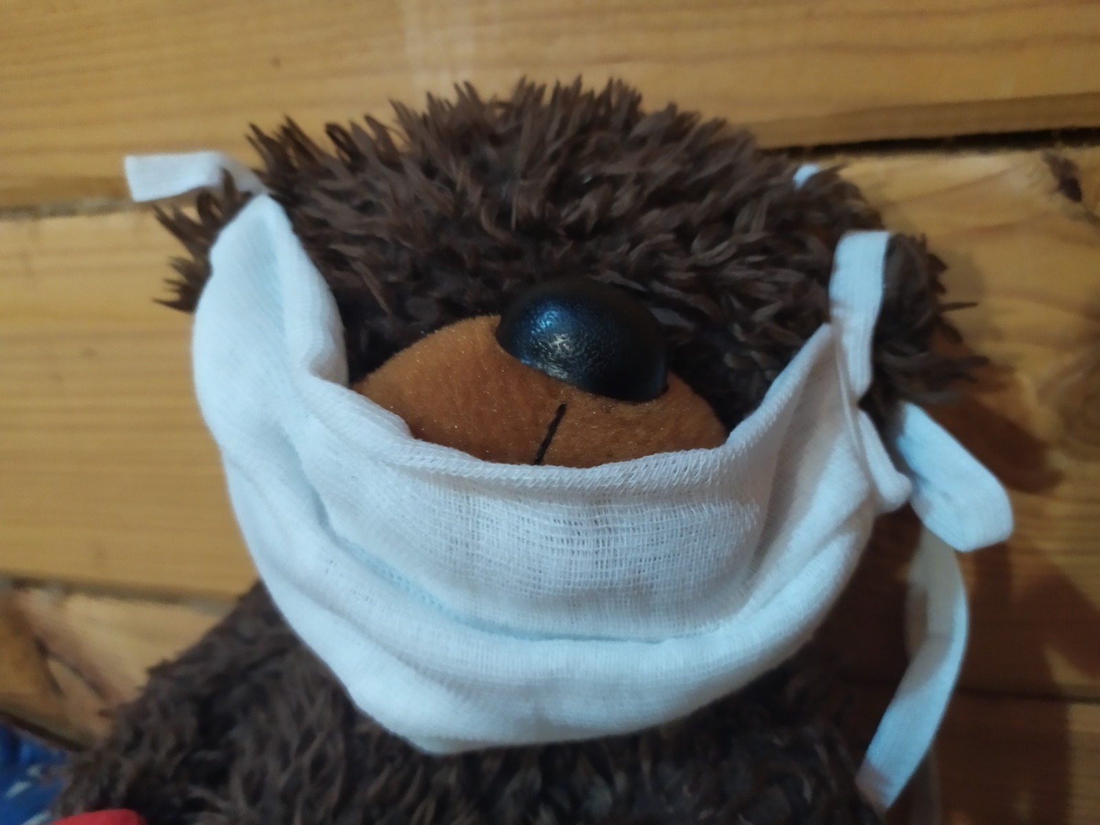 Васили Саитовой.