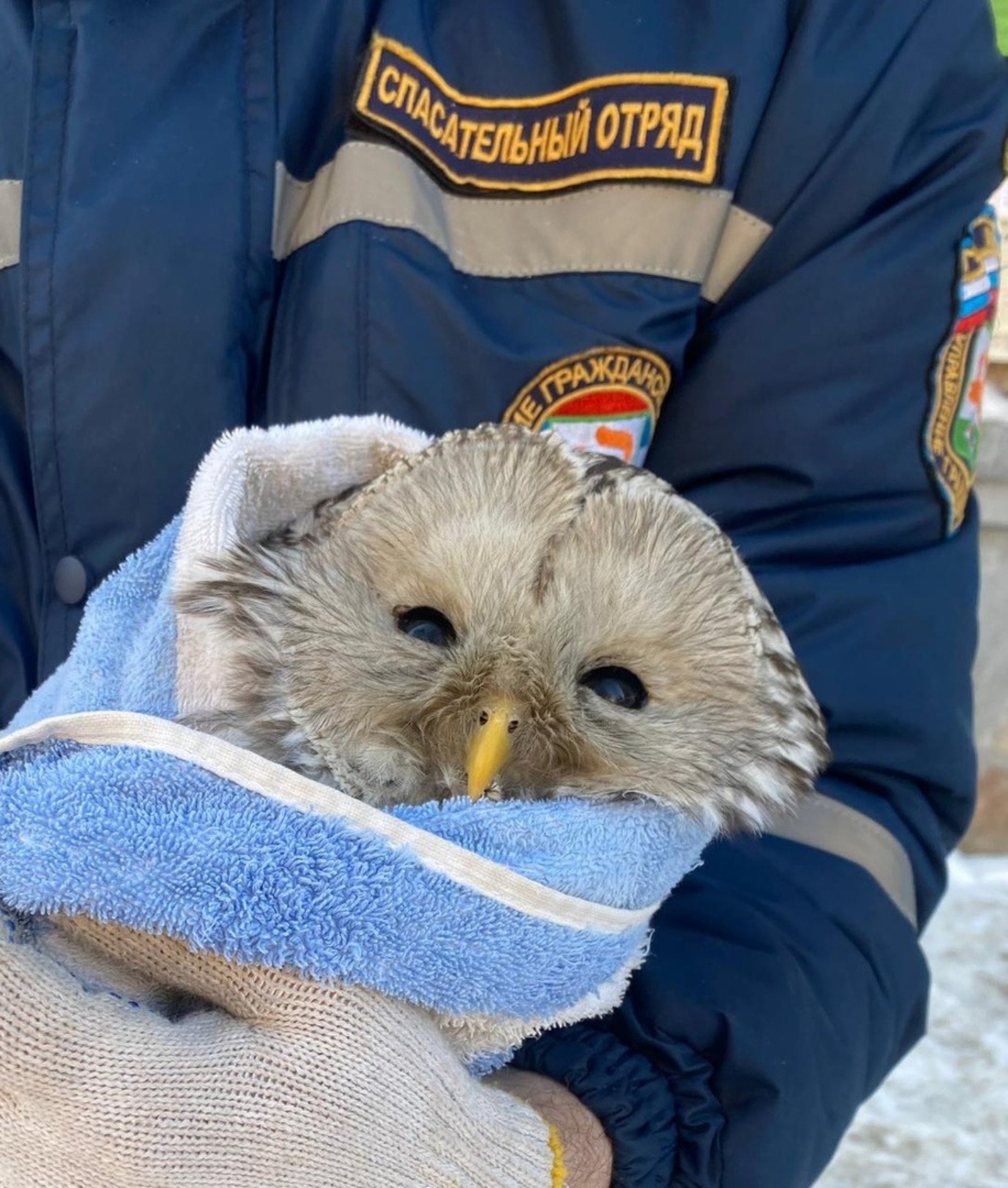 Управление гражданской защиты Уфы.