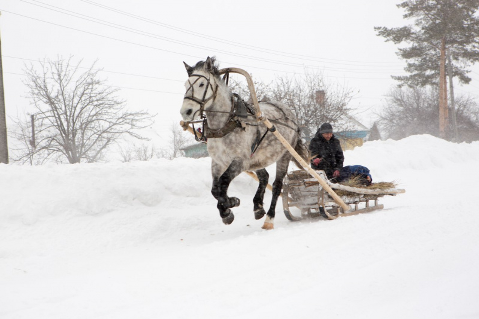Фото Фаиля Абсатарова.