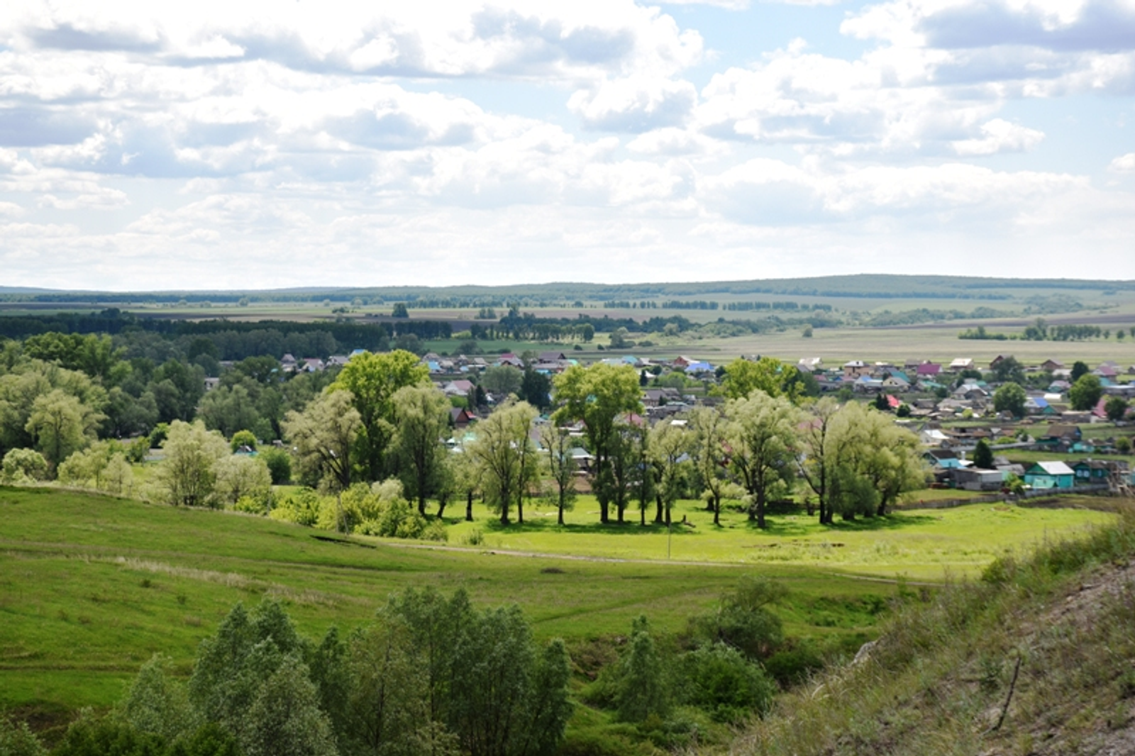 Фото автора.