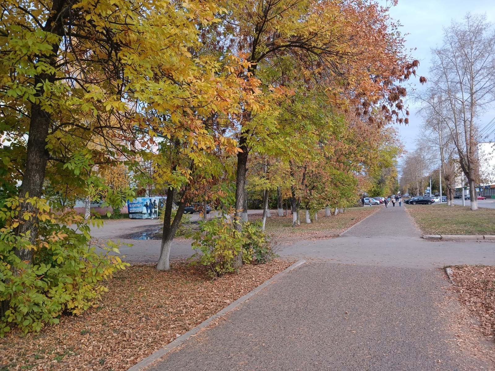 Васили Саитовой.
