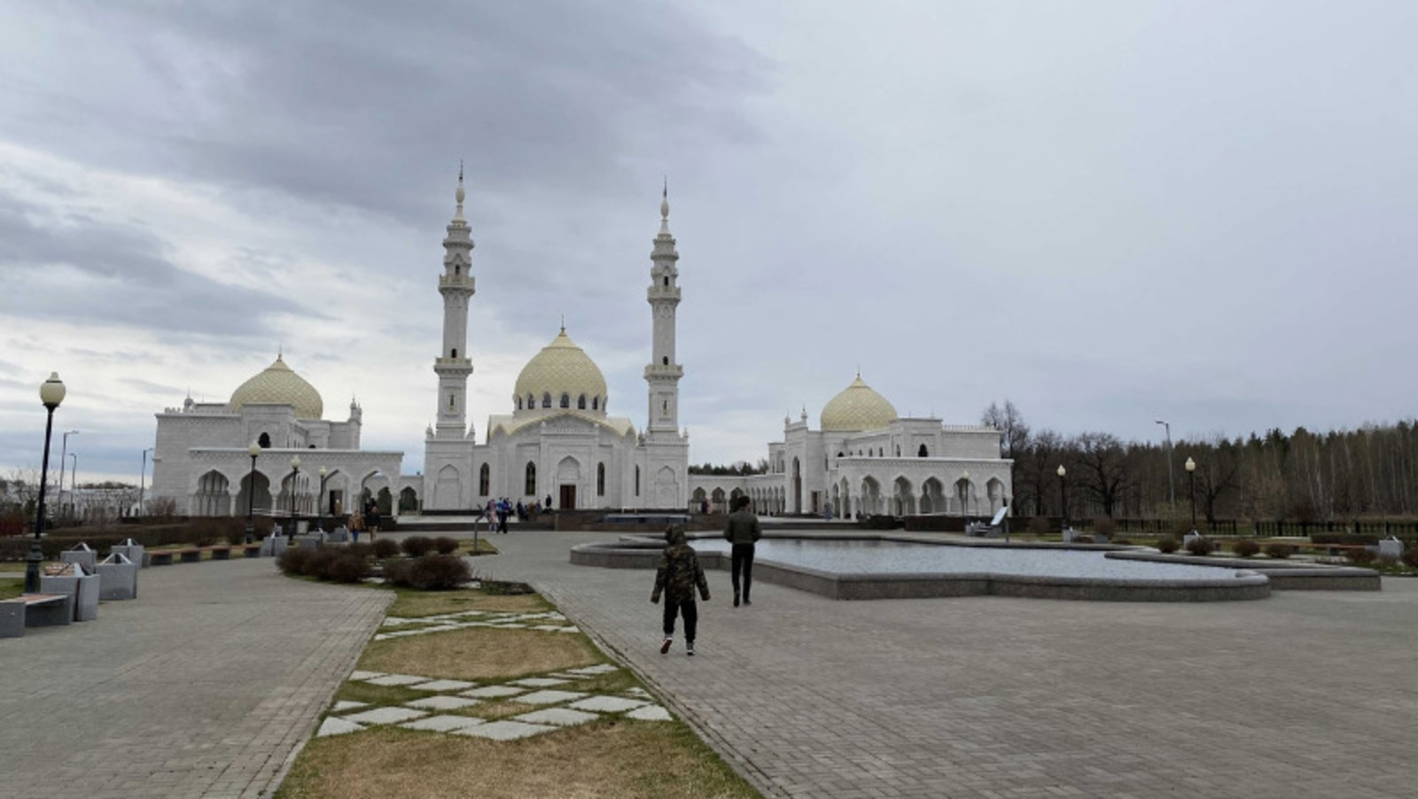 Елены Колоколовой.