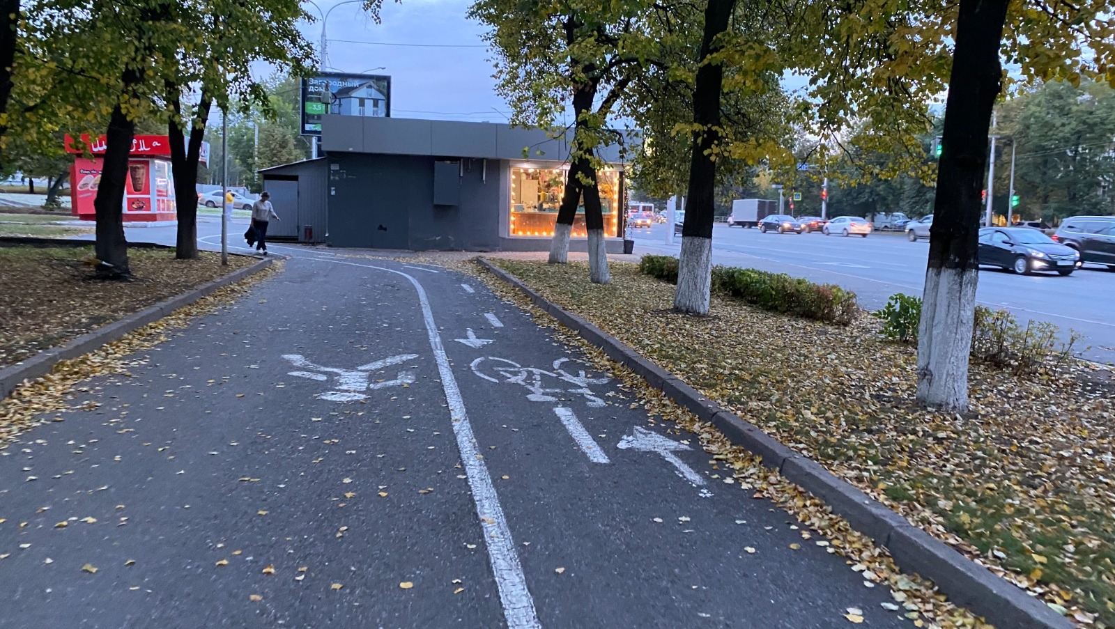 Елены Колоколовой.