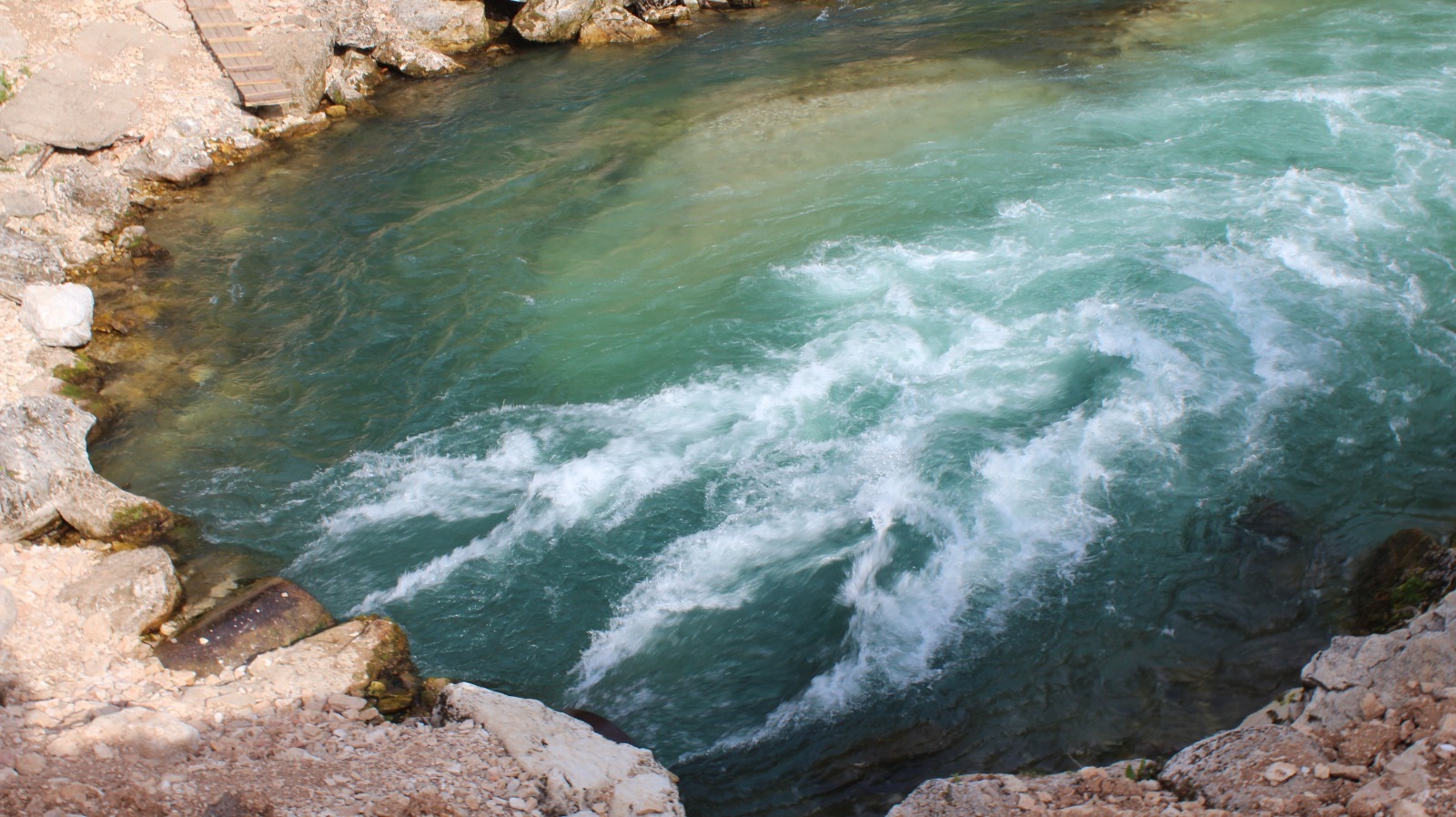 Дарьи Святохиной.