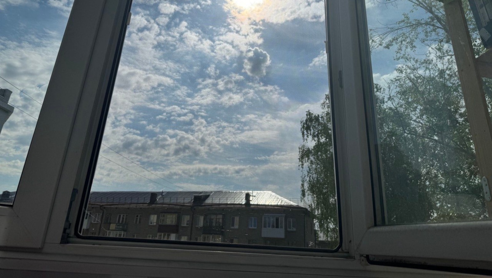 Елены Колоколовой.