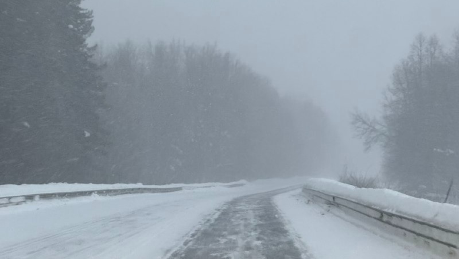 Елены Колоколовой. «Общественная электронная газета».