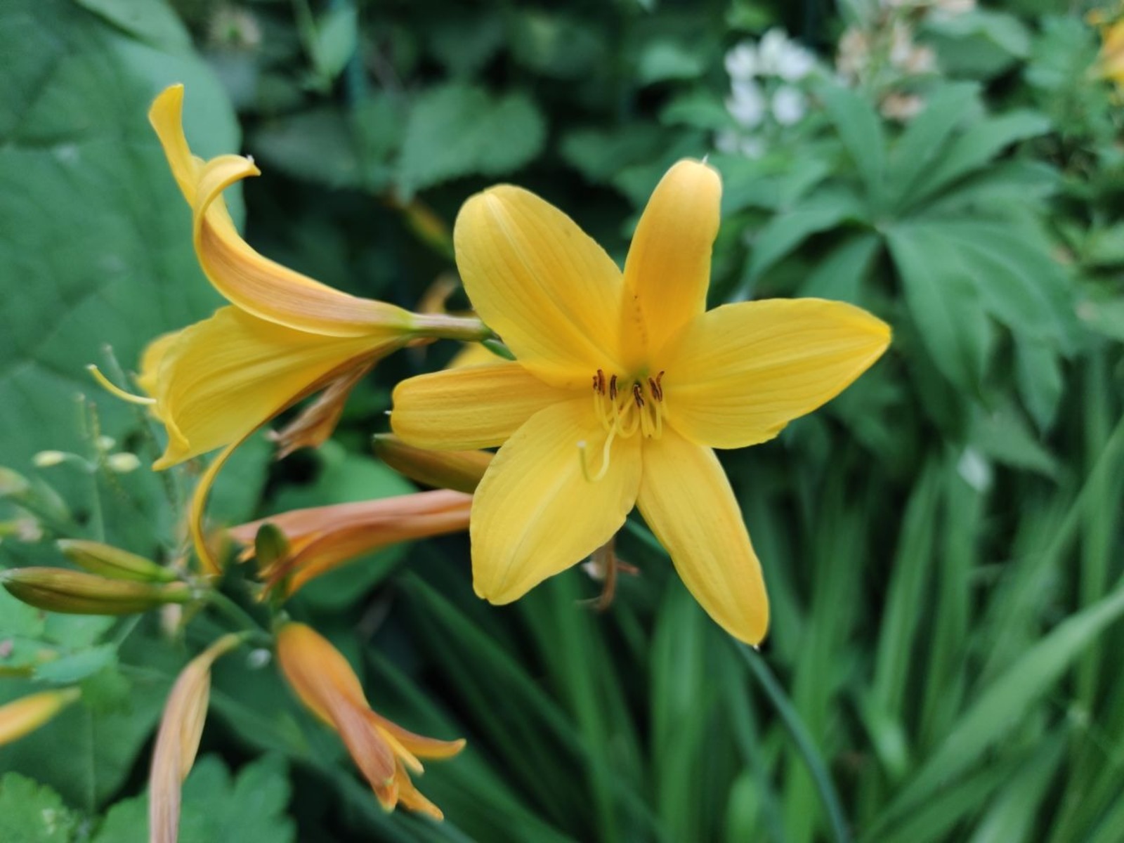 Дарьи Святохиной.