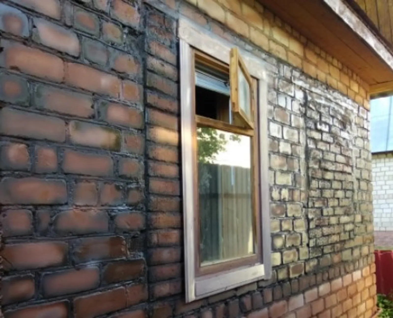 Фото Васили Саитовой.