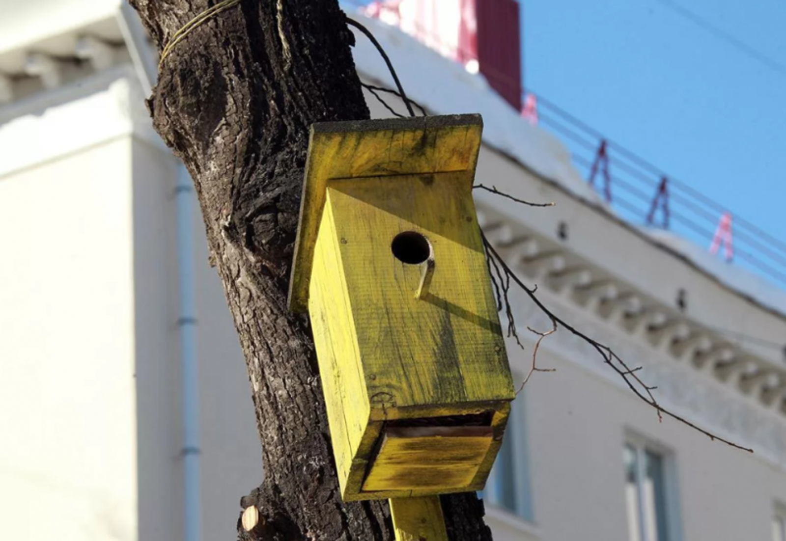 Фото Олега Яровикова.