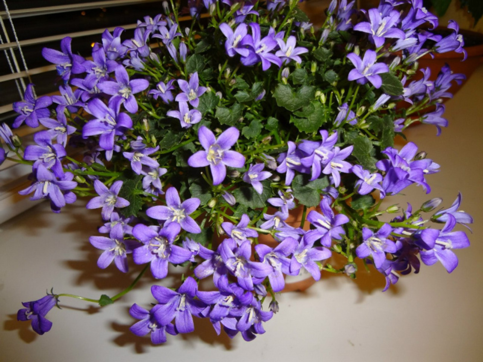 Фото Васили Саитовой.