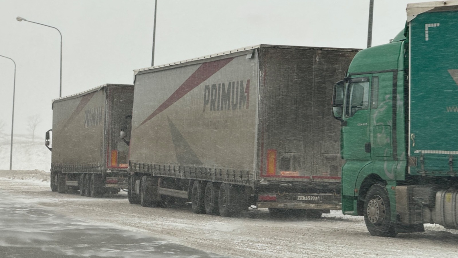 Елены Колоколовой.