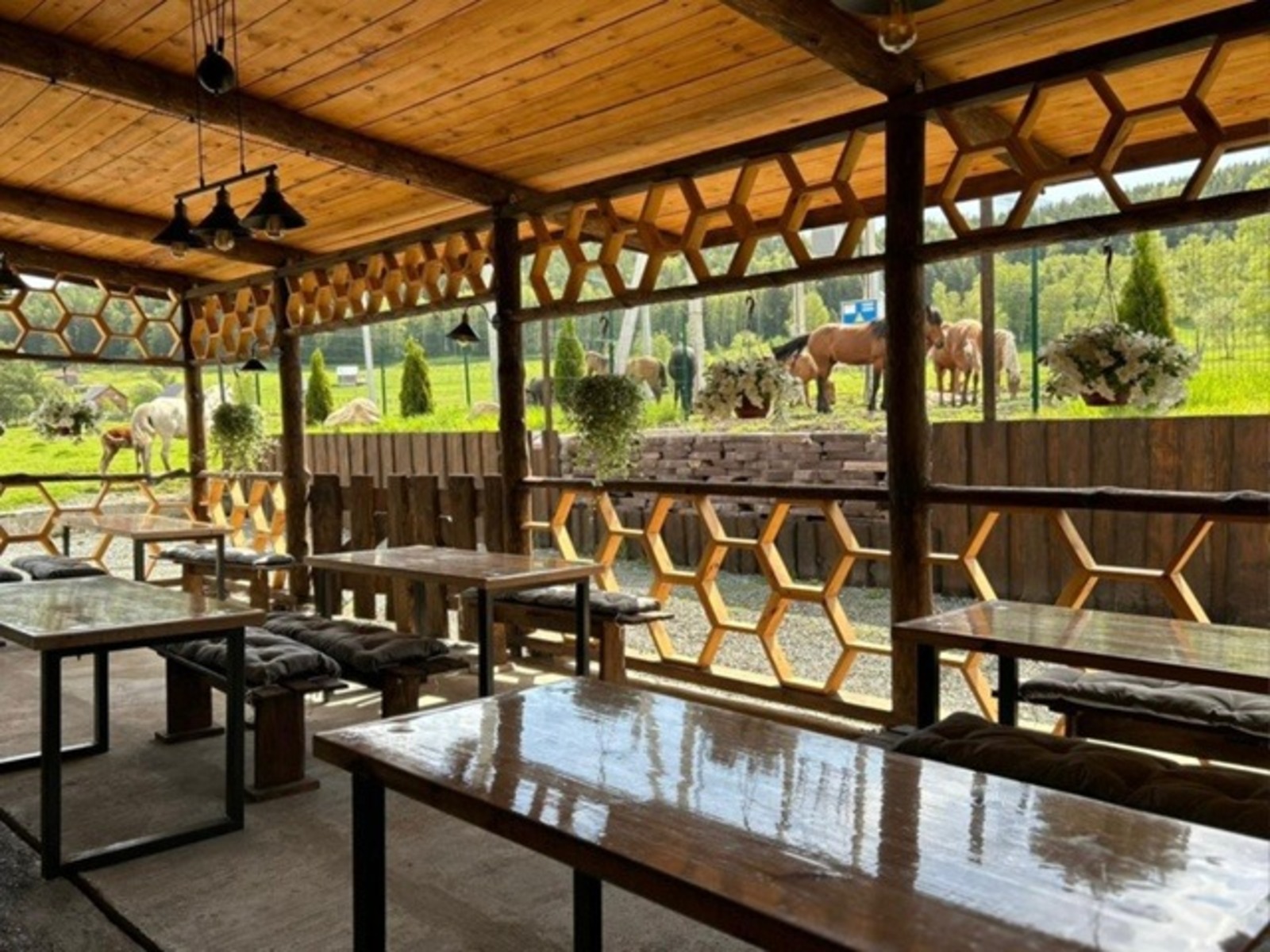 c личной страницы Радия Хабирова в соцсети.