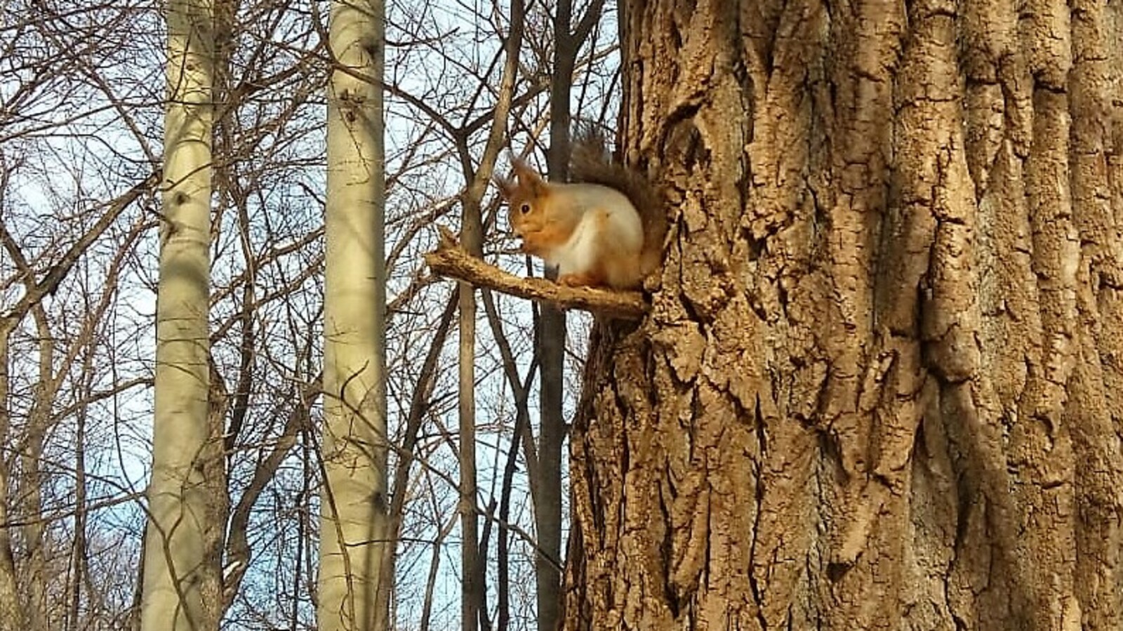 Фото Евгении Сюткиной.
