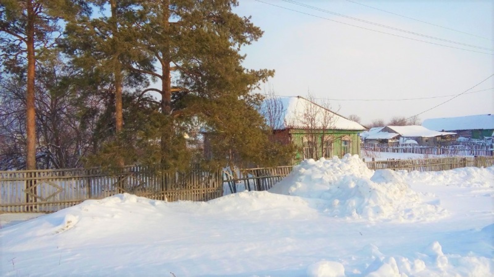 Евгении Сюткиной.