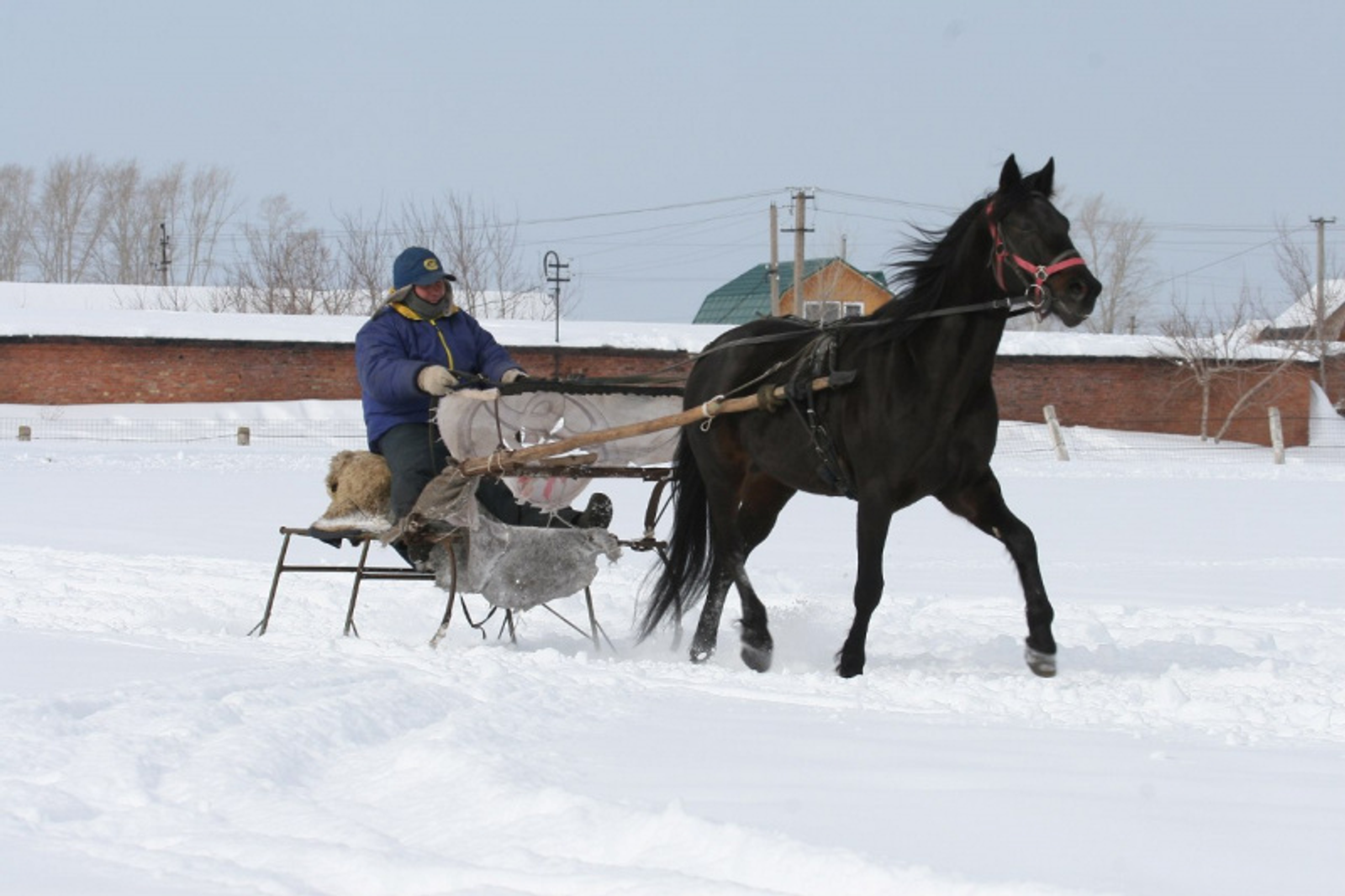 Фото автора.