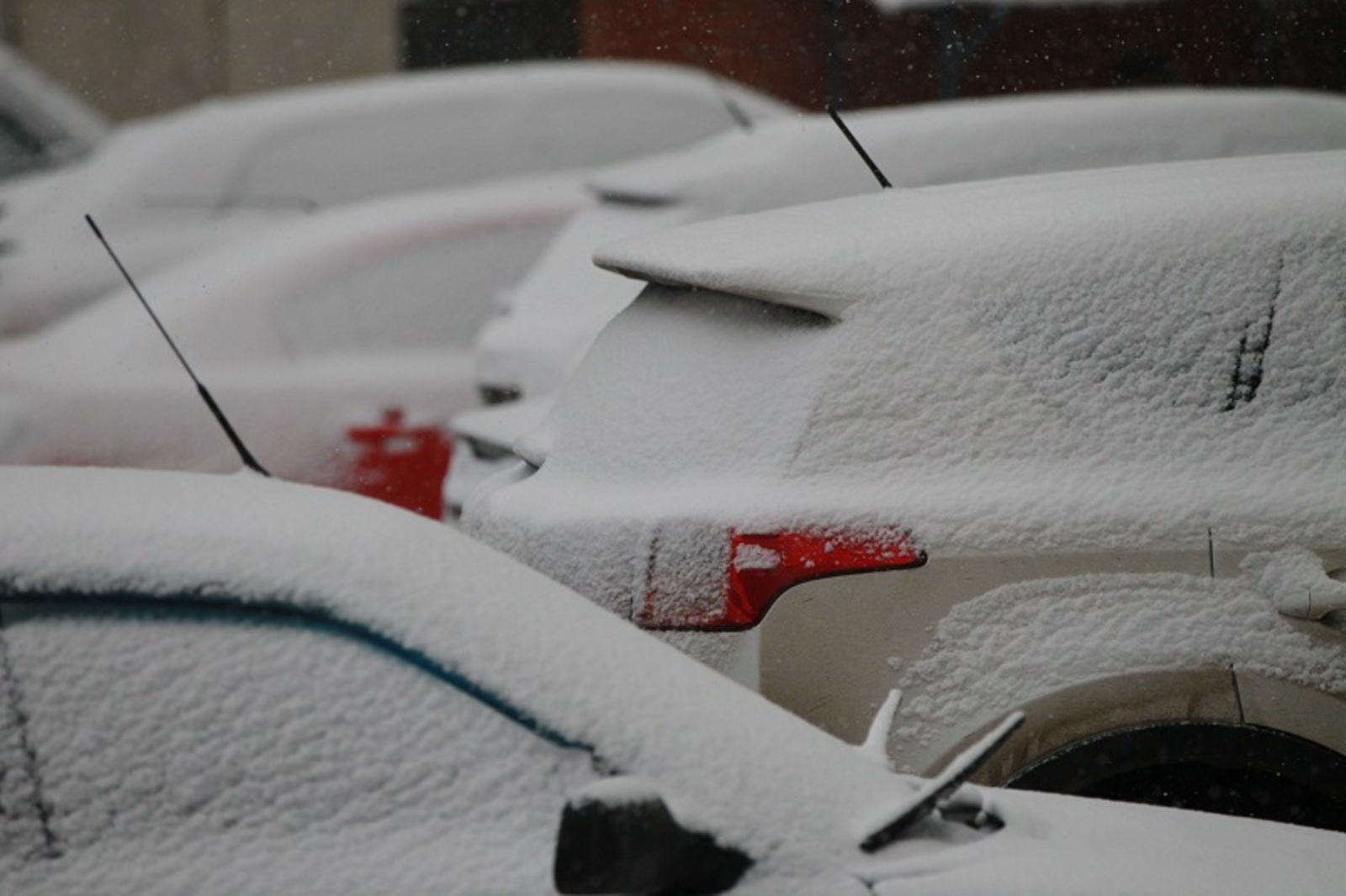 Фото Олега Яровикова.