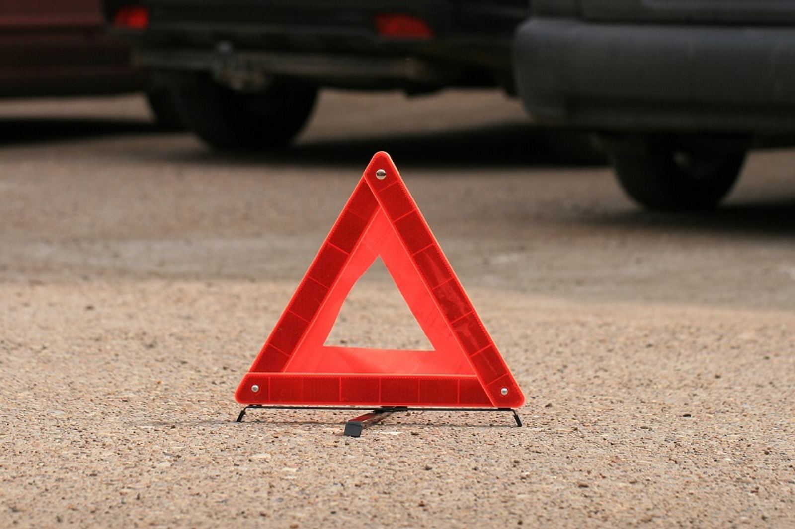 Фото Андрея Старостина.