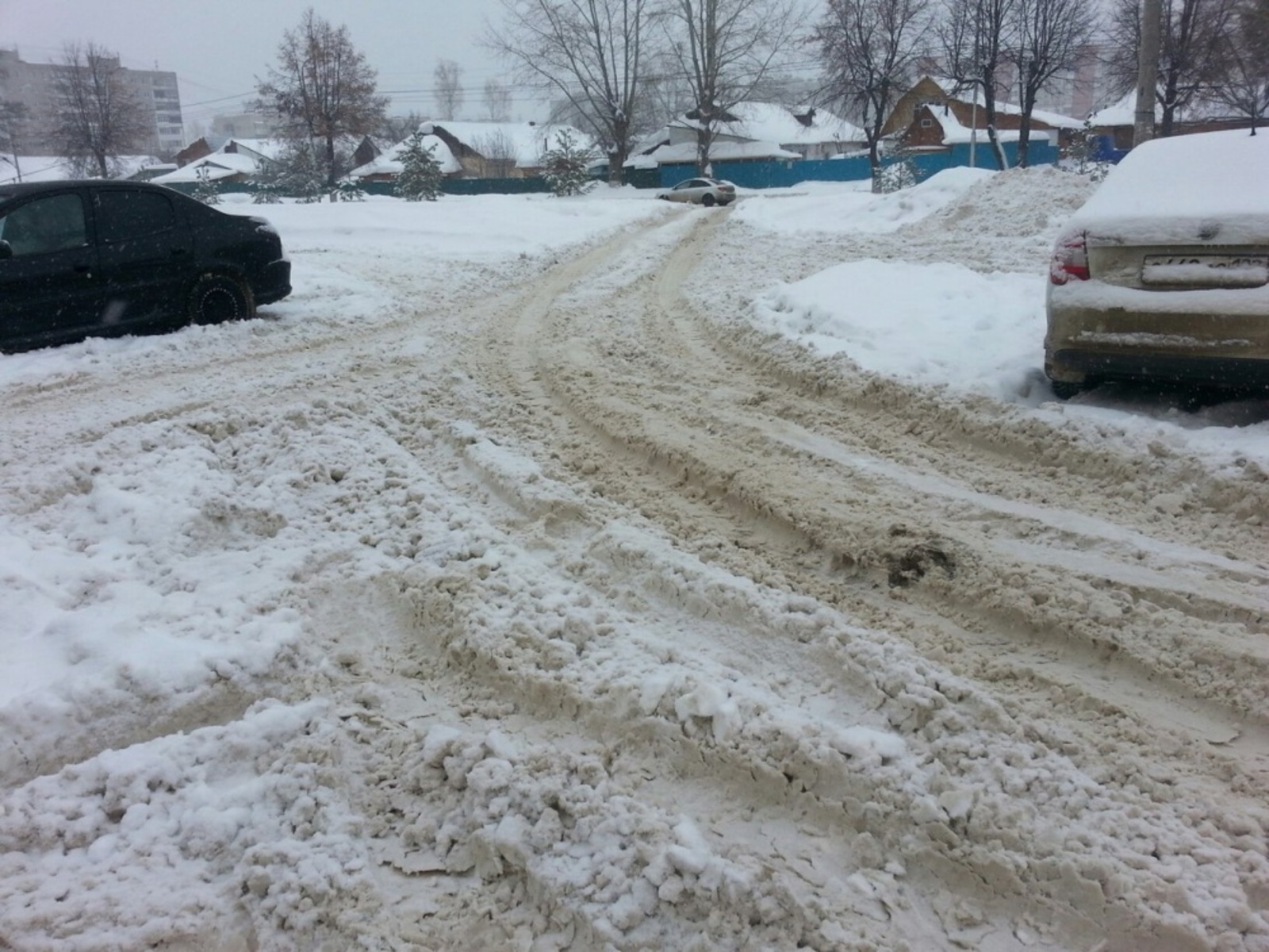 Фото Дарьи Святохиной.